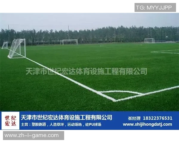 廊坊足球场周边设施完善助力本地足球发展与青少年培训提升